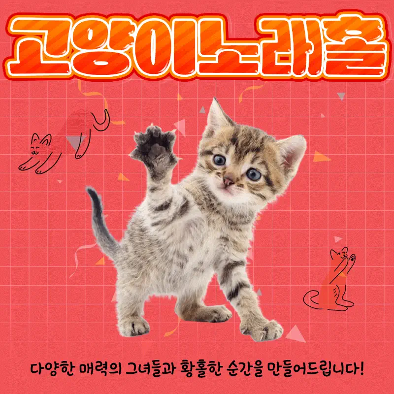 용봉동 고양이노래홀 광주룸빵달리기 룸 노래홀 가라오케 실내 이미지 1